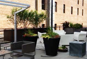 Residential Project - Rooftop Patio